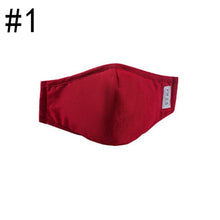 Load image into Gallery viewer, Dust-Proof Mouth Mask.
