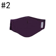 Load image into Gallery viewer, Dust-Proof Mouth Mask.