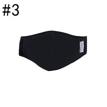 Load image into Gallery viewer, Dust-Proof Mouth Mask.